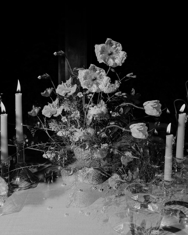 Florists Phosphorus Botanical