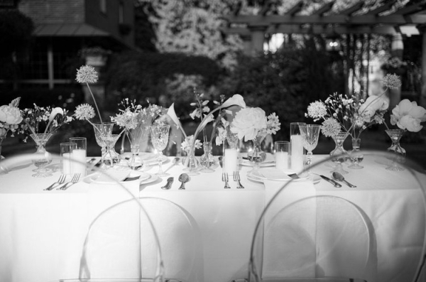 Florists Phosphorus Botanical