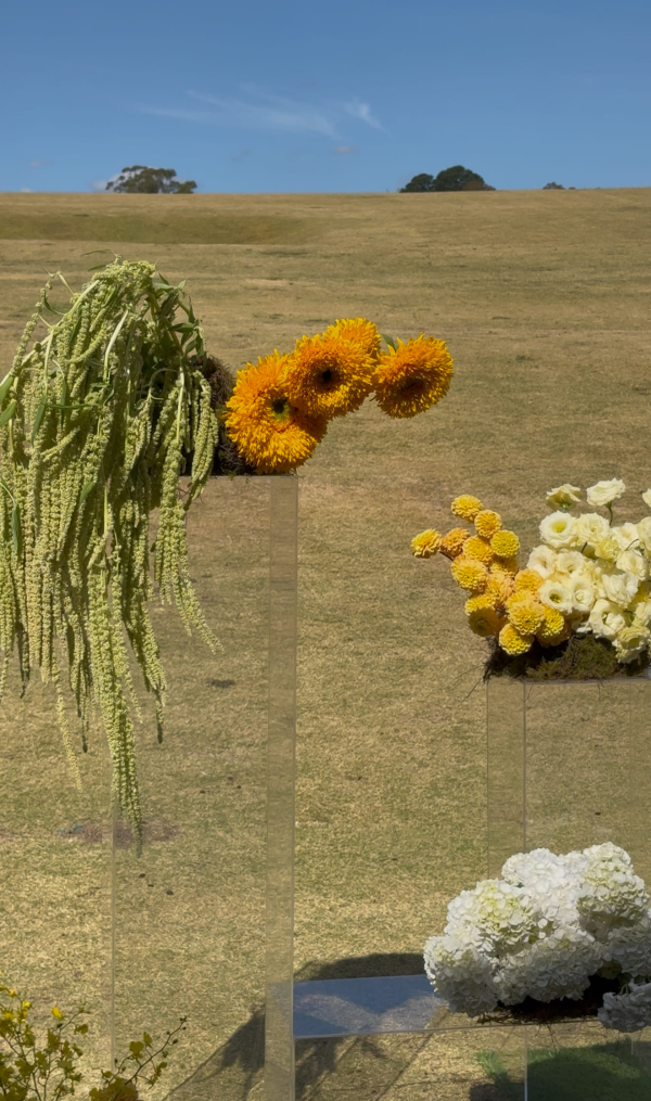 Florists Blooms By Cecilia