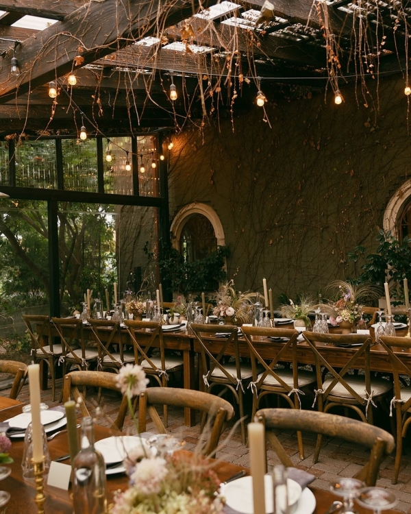 Florists Phosphorus Botanical