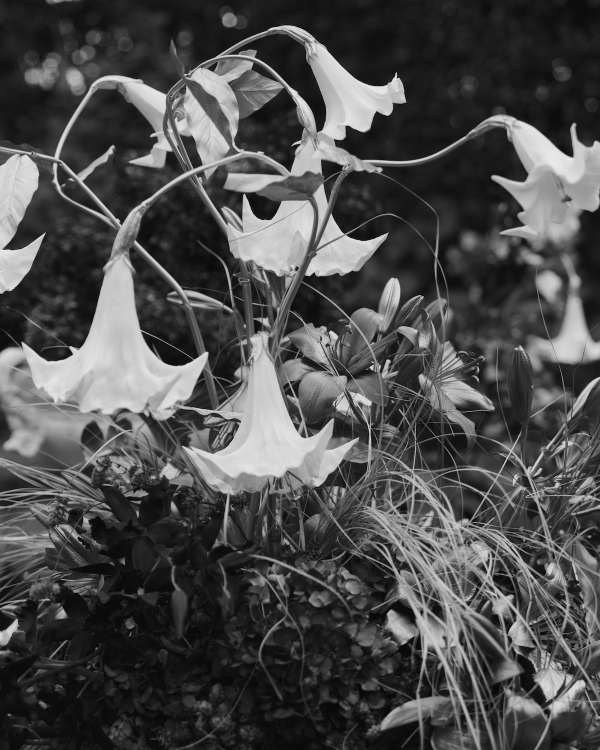 An Elegant & Dreamy Italian Wedding in a Historic Roman Villa