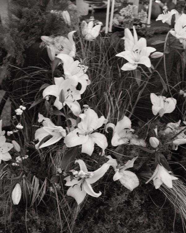 A Garden of Quiet Promises