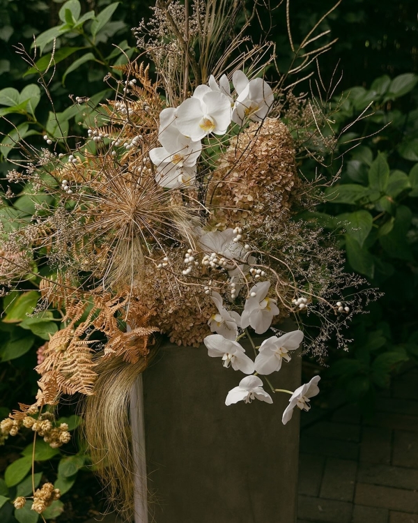 Florists Phosphorus Botanical