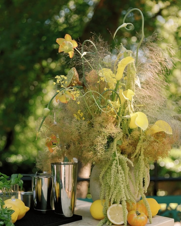 Florists Phosphorus Botanical