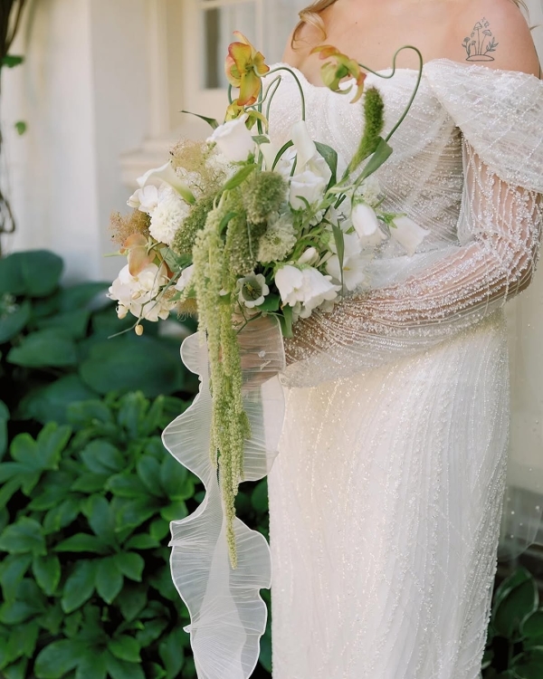 Florists Phosphorus Botanical