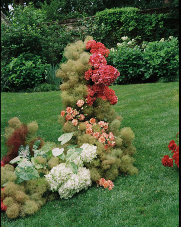 A Blush and Berry-Infused Wedding at a Luxurious Australian Estate