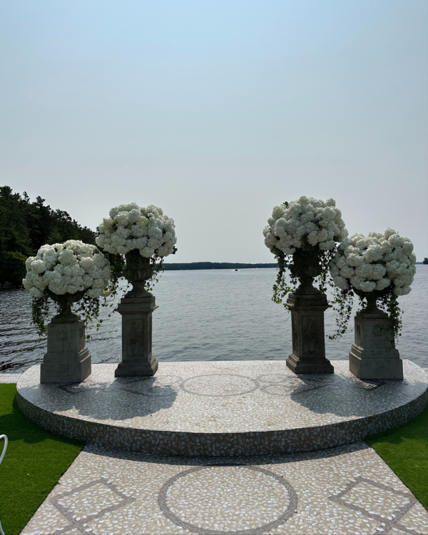 Content Creators Hype Gal