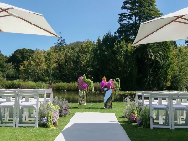 Florists Blooms By Cecilia