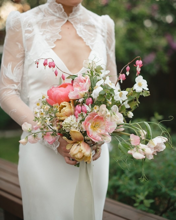 Florists Phosphorus Botanical