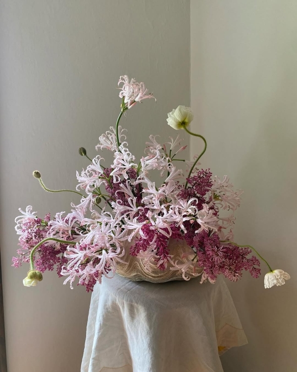 Florists Phosphorus Botanical