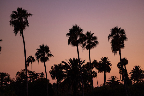 Venues The Beverly Hills Hotel