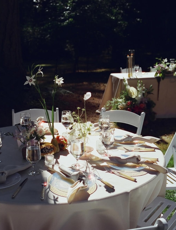 Florists Phosphorus Botanical