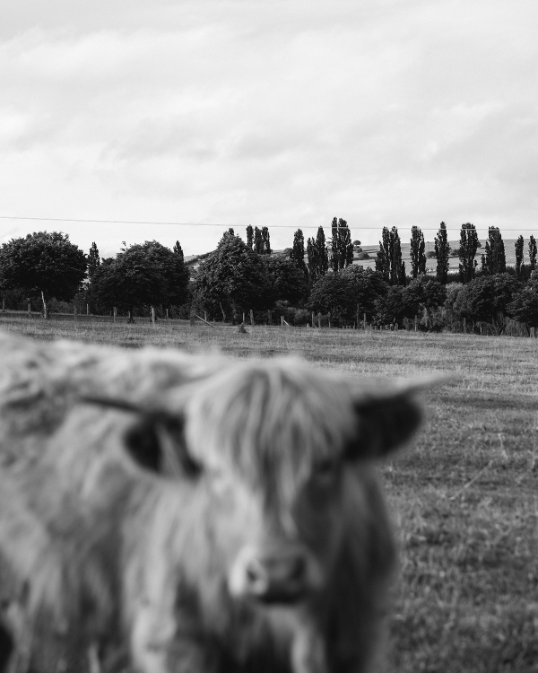 A Blush and Berry-Infused Wedding at a Luxurious Australian Estate