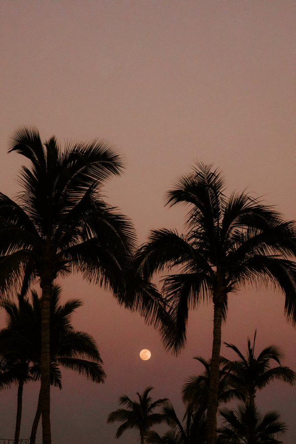 Photographers Taylor Renee