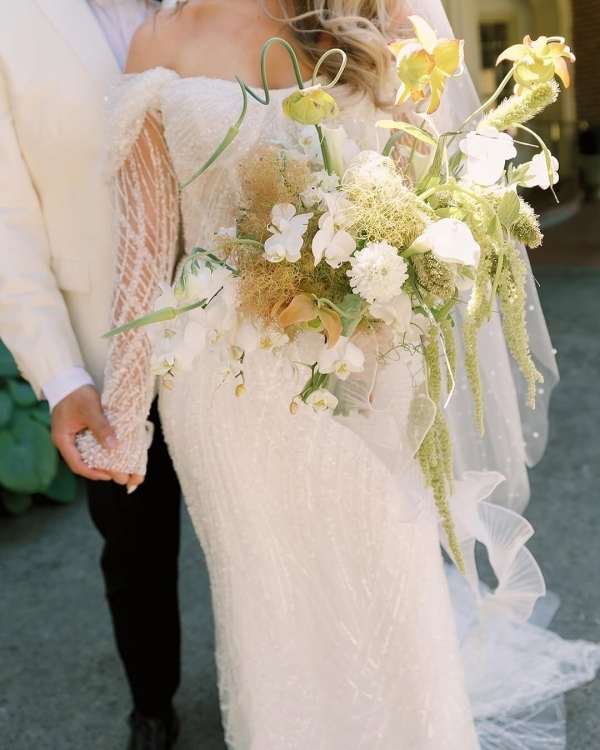 Florists Phosphorus Botanical