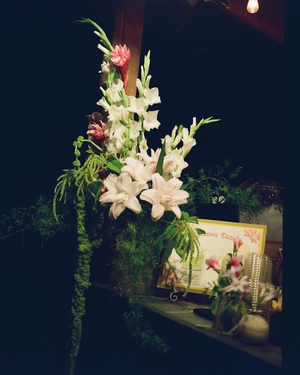 Florists Phosphorus Botanical