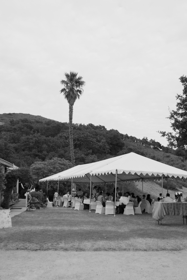 Photographers Sun & Soul Photo