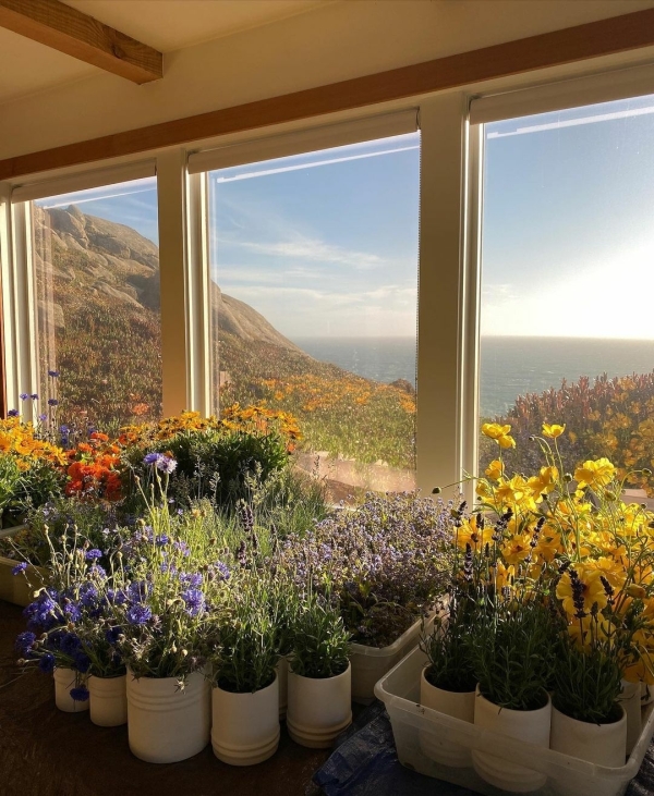 Florists Lambert Floral Studio