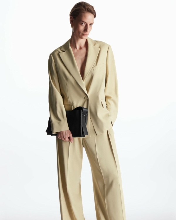 Top 11 Monochromatic Suits For Womens | Best Monochromatic Paint Suits, Photos | For Wedding Guest