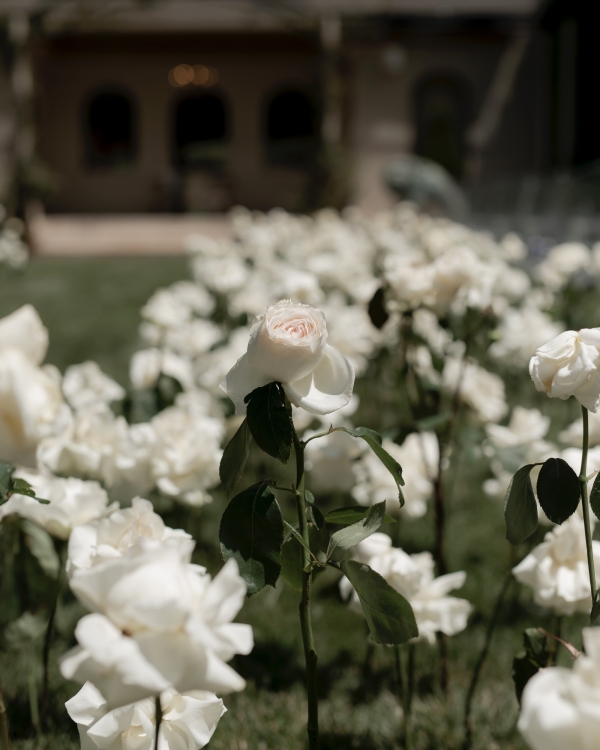 Gatsby Themed Wedding