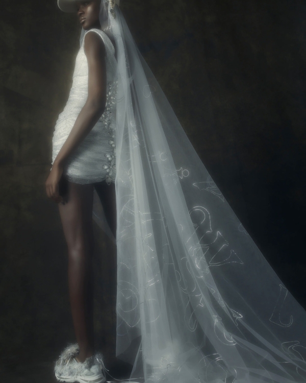 Top 6 Wedding Dress Styles | Different Style of Wedding Dresses | Chart of the All Types of Bridal Gown Silhouettes