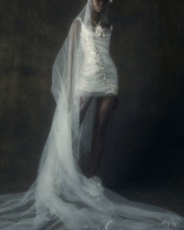 Top 6 Wedding Dress Styles | Different Style of Wedding Dresses | Chart of the All Types of Bridal Gown Silhouettes