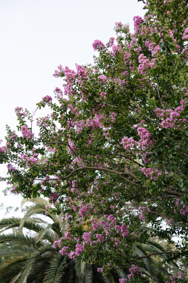 Photographers Mitch Ferris