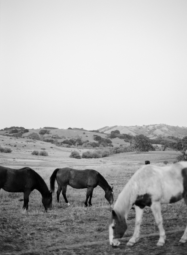 Planners Alison Events