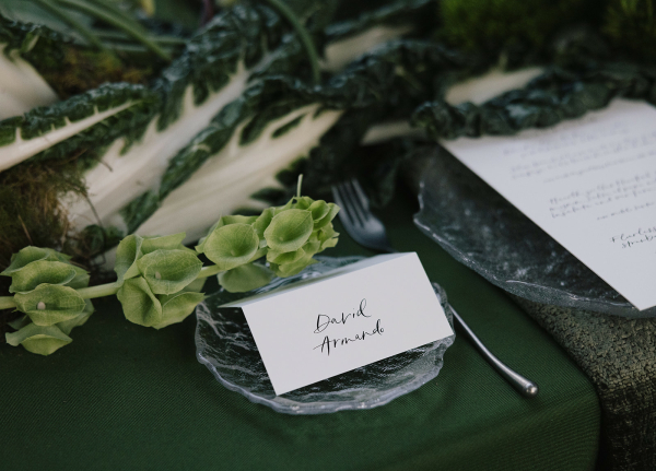 Verde on Verde Editorial