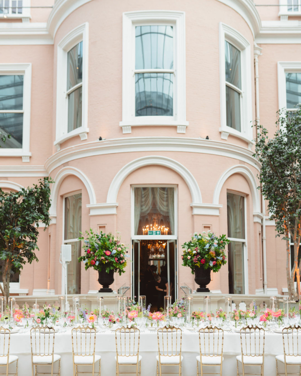 From Vision to Reality: Inside the Niemierko Brand