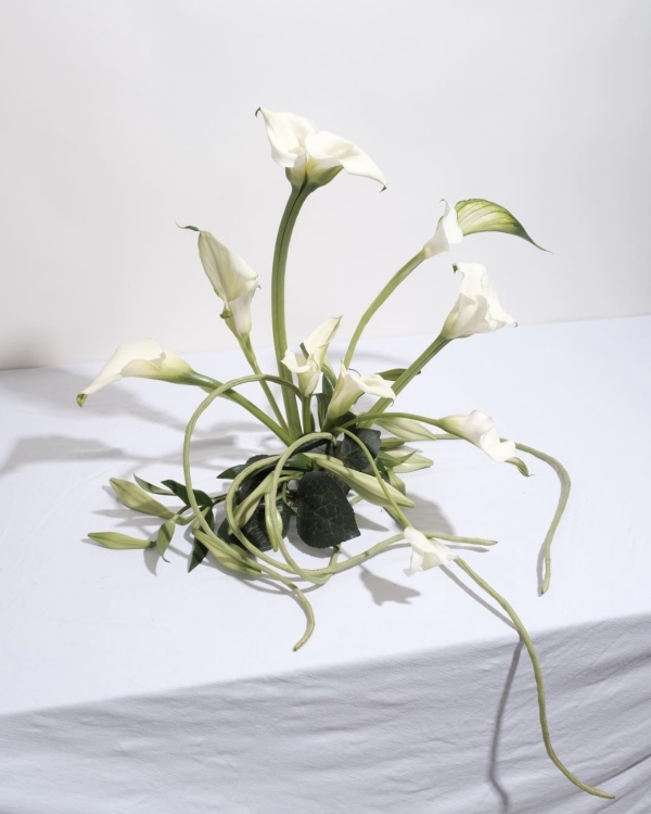 Calla Lily Arrangement Inspo | Beautiful Calla Lily Wedding Bouquets