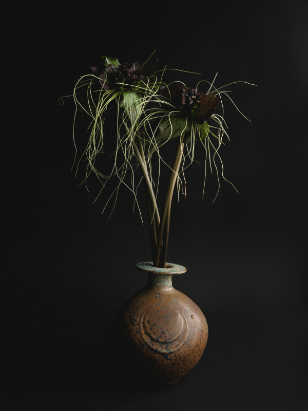 Elegance Meets Modern Edge