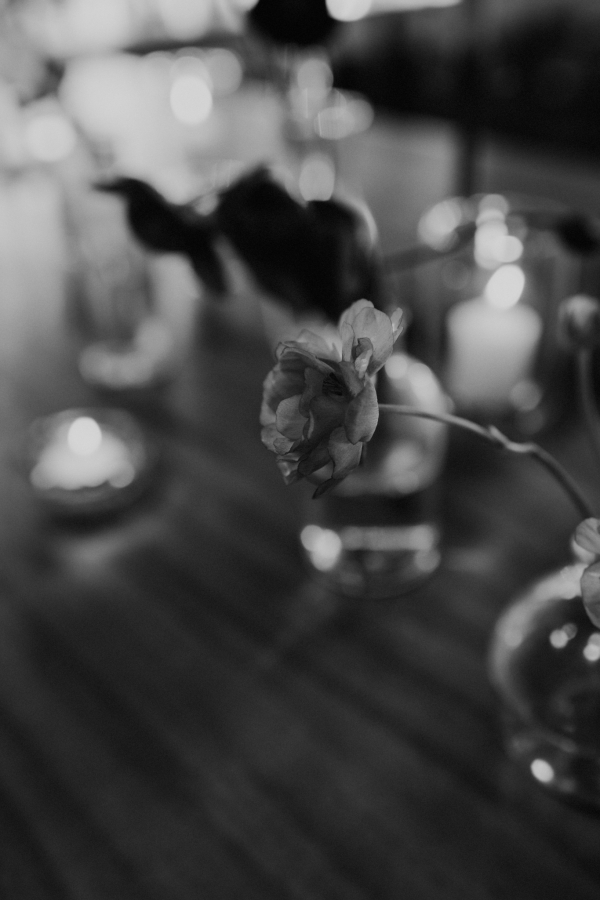 Photographers Anna Sauza