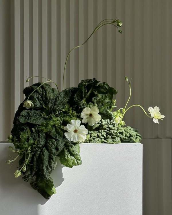 From Pink to Beige Wedding Colors for Summer | Summer 2024 Wedding Colors