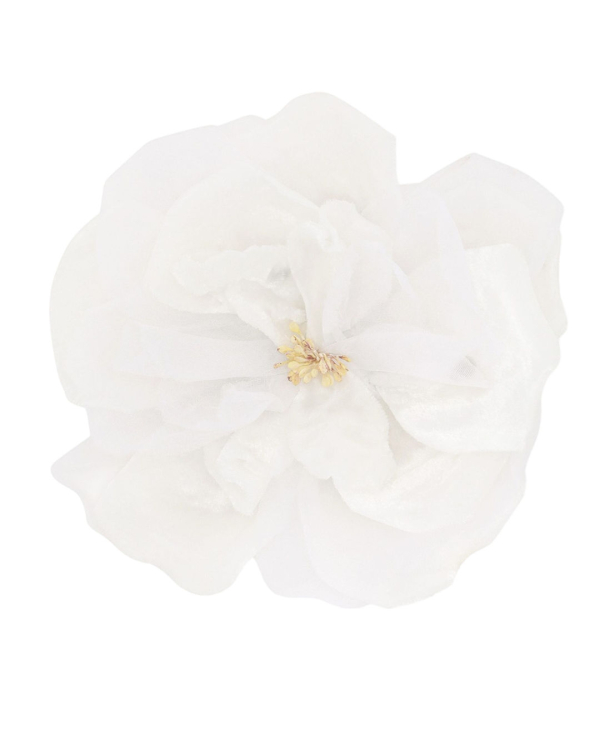 Same-Sex Wedding: Grooms Outfit Ideas