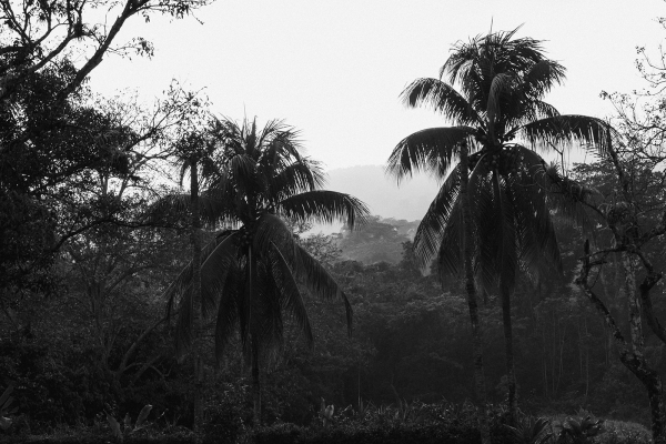 Beautiful Bridal Experience in Venezuela