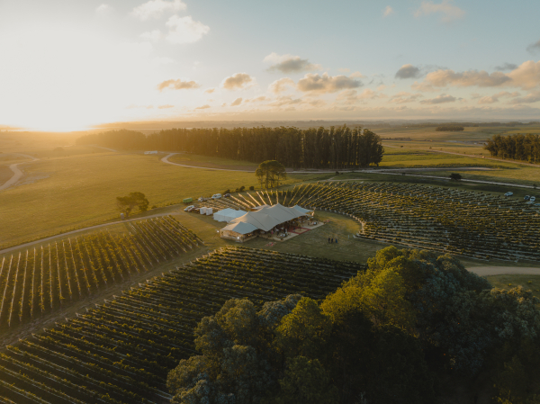 Beautiful Destination Wedding in Uruguay | Ana & Marcelo's Special Day