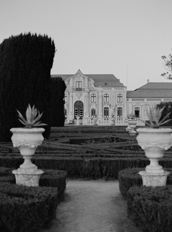 Photographers Alice Vicente