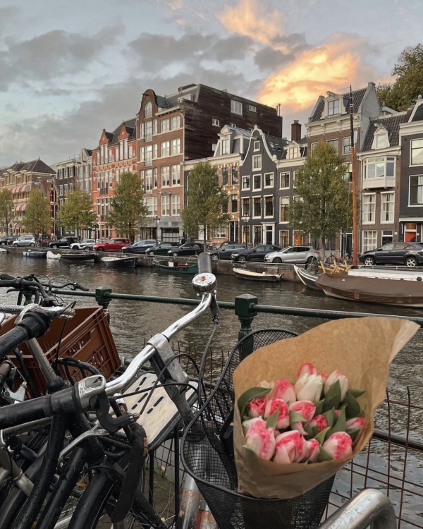 7 LGBTQIA+ Friendly Honeymoon Destinations