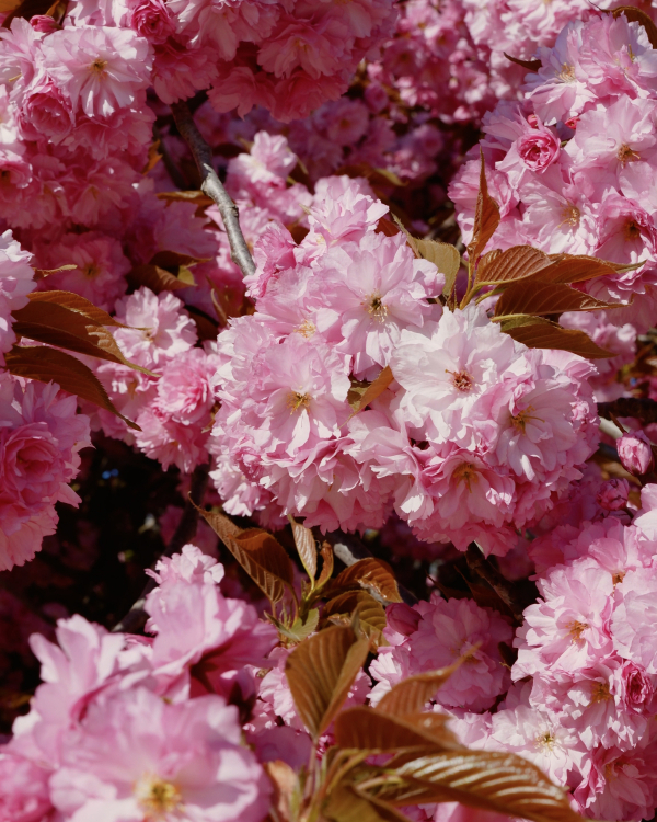 In Conversation: This Humid House