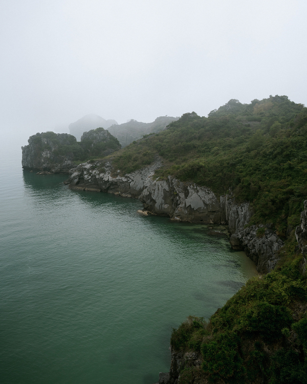 A Lush Island Wedding in Tropical Vietnam