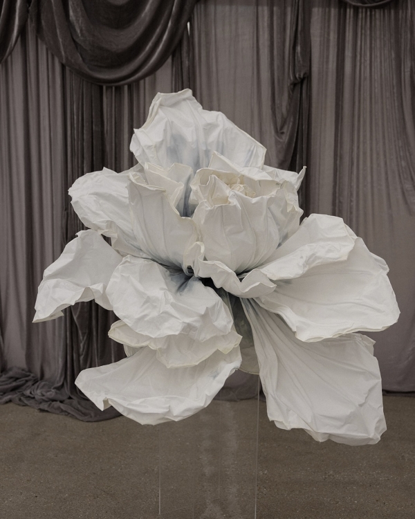 A High-End Wedding Amongst New Zealand's Cinematic Mountains