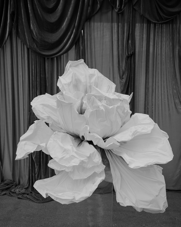 A High-End Wedding Amongst New Zealand's Cinematic Mountains