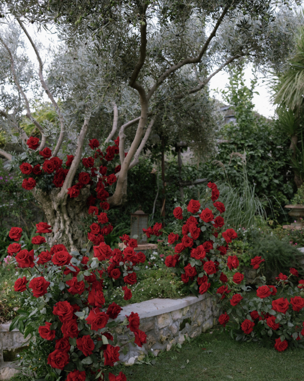 A High Fashion Wedding Laced with Red Roses on the Amalfi Coast, Italy