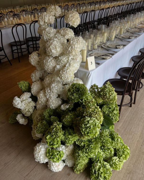 Here's Why Every Couple Needs a Wedding Content Creator