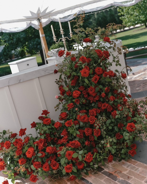 A Guide to the Best Wedding Flowers for Each Season