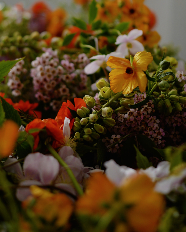 In Conversation: This Humid House