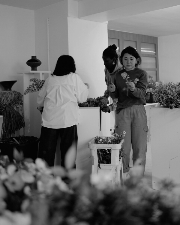 In Conversation: This Humid House