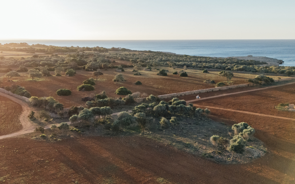 Venues Vestige Son Vell