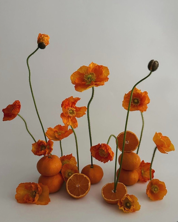 A Guide to the Best Wedding Flowers for Each Season